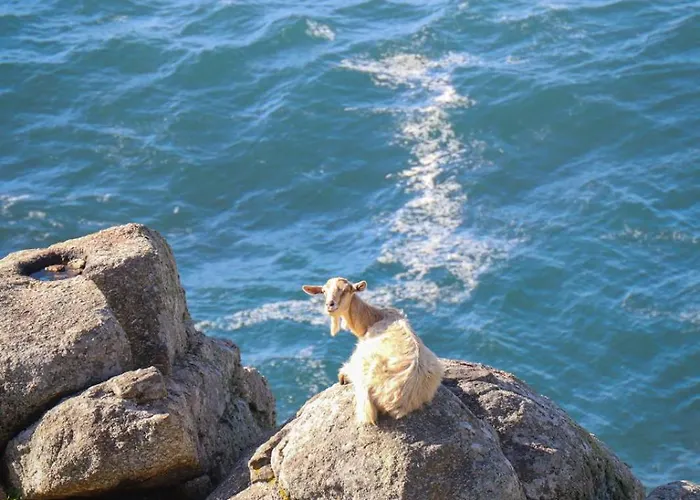 アパート Vento Nordes