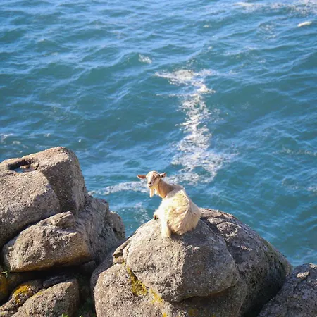 Apartment Vento Nordes